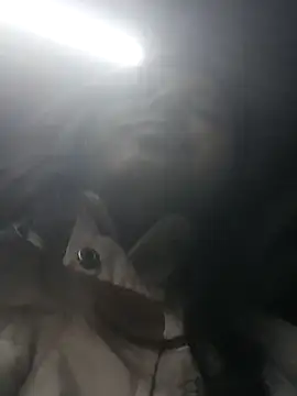 AddySweet's cam snapshot