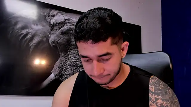 king_falconer's cam snapshot