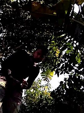 bigdaddyboy46 live sex cam