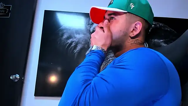 king_falconer's cam snapshot