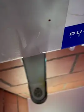 bonbom_ live sex cam