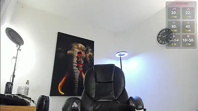 Nicolas_Fellener's web cam