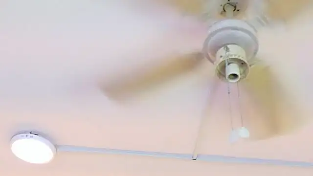 ZoehRoux's cam snapshot