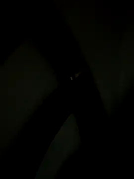 Bruno18cmmmmkk live sex cam