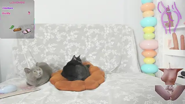 -Bling-'s cam snapshot