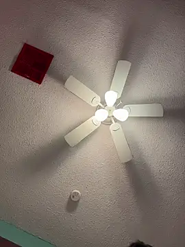 MyHoneyFrida live sex cam