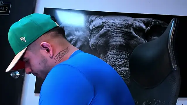 king_falconer's cam snapshot