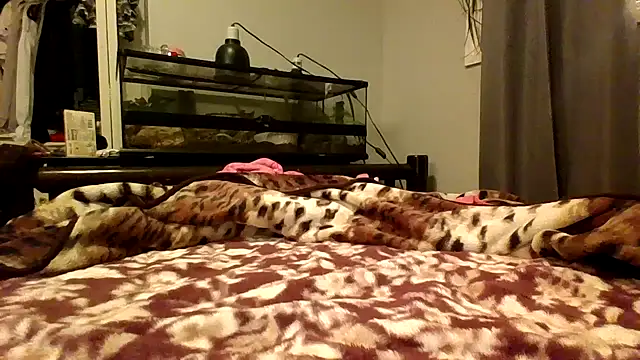 evie_starr's cam snapshot