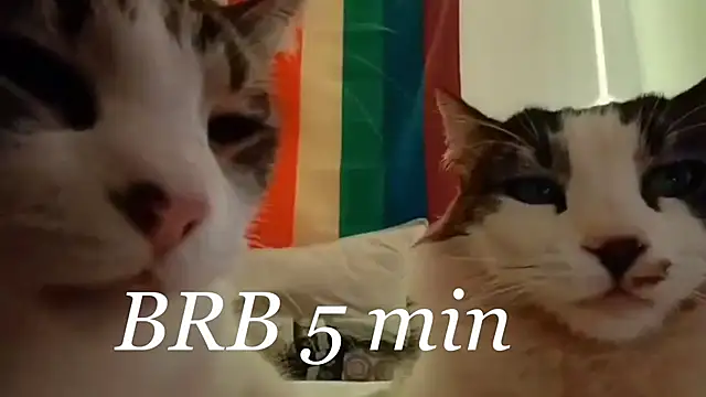 JettaHerrin's cam snapshot