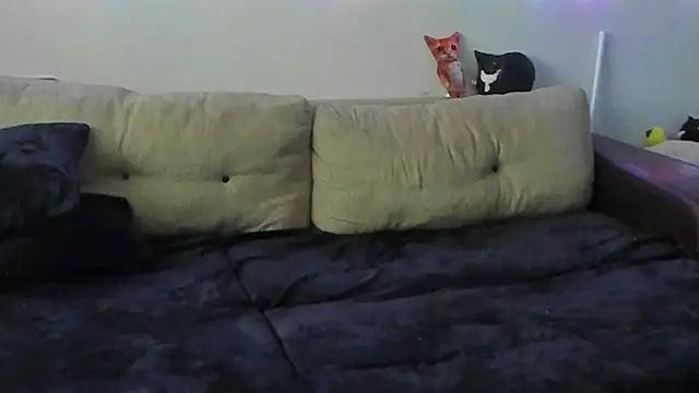 Ostin_meow's cam snapshot