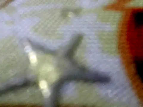 nikolaiid's cam snapshot