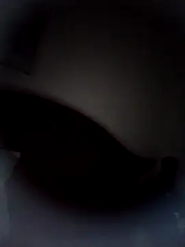 shyguy8569's cam snapshot