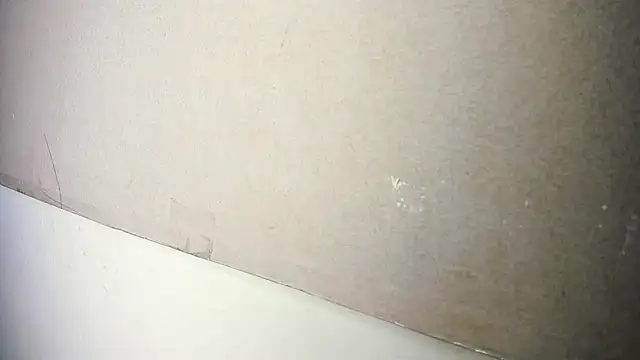 BBW_LATIN_BIGASSS live sex cam