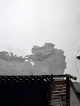 illay_love's cam snapshot