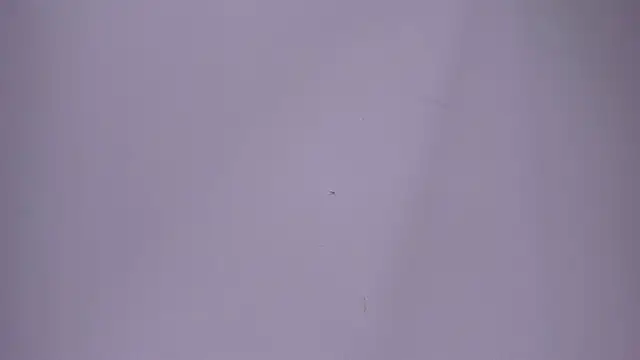 Maazikeen's cam snapshot