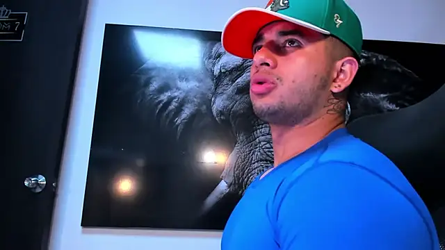 king_falconer's cam snapshot