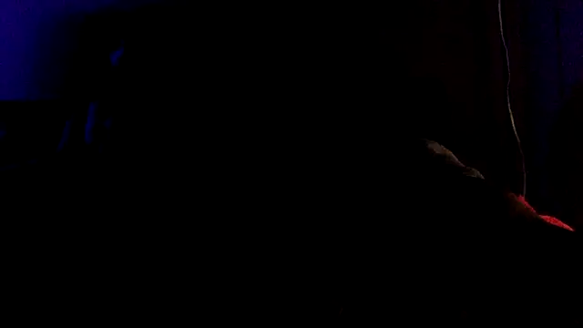 shomeagudtyme live sex cam