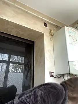 Goldgodess live sex cam