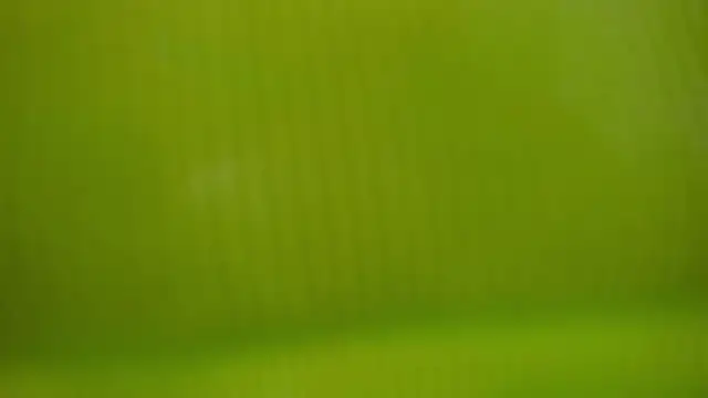 maximo_torricelli live sex cam