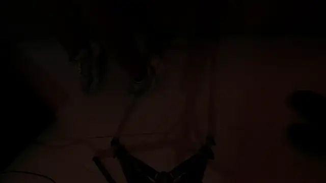 danni_and_jeison's cam snapshot