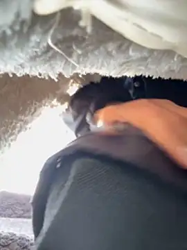 feifei_521 live sex cam