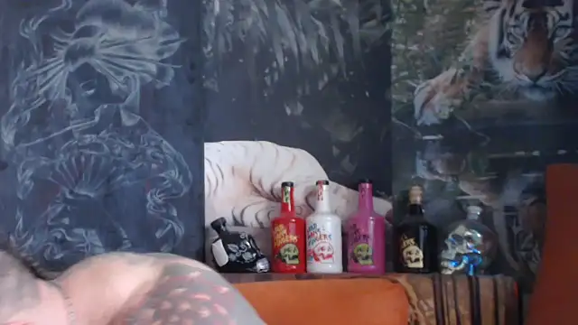 viking_30's cam snapshot