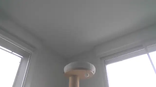 sexy007sexy's cam snapshot