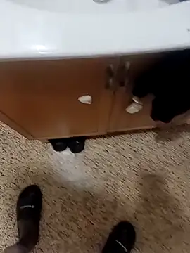 alexxssy's cam snapshot