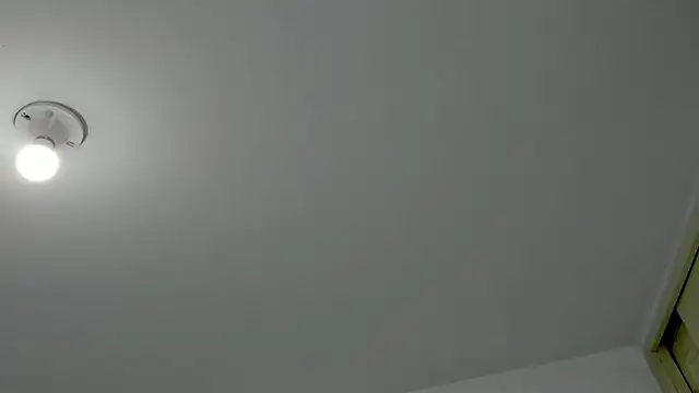 vanessa_saquirt's cam snapshot