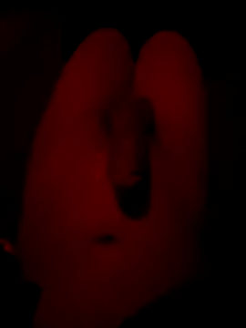 Desconocid57806 live sex cam