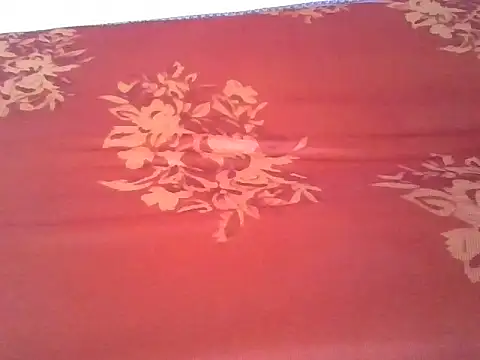 hanna1523's cam snapshot