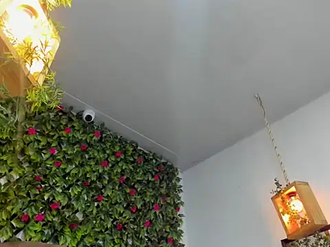 Sophiie_Hot's cam snapshot