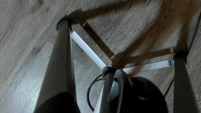 Sofia_cossio_ live sex cam