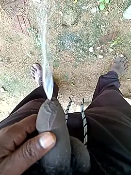 dolphiinn's cam snapshot