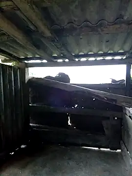 quynhkoolbae live sex cam