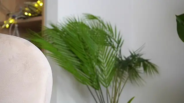 DreamSofia live sex cam