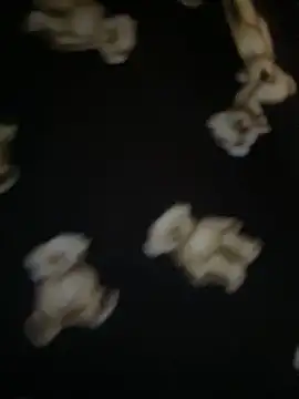 Dellah27's cam snapshot