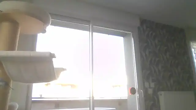 sexy007sexy's cam snapshot