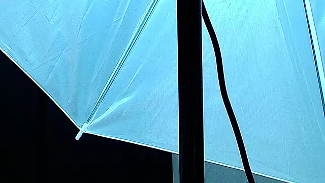 ZaraRousse live sex cam