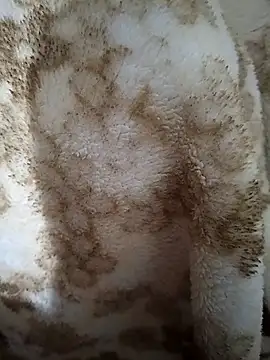 sexy__girls98's cam snapshot