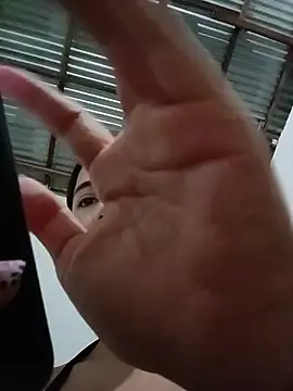 -Nicol's cam snapshot