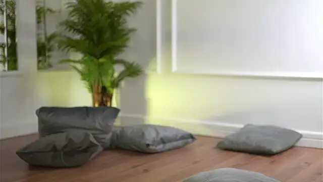 Cherrysweett's cam snapshot