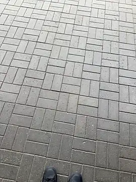 Black-mamba-madingo live sex cam