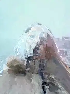 Viola_Beck's cam snapshot