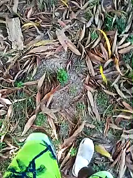 PIG_Spitfeetdirty's cam snapshot