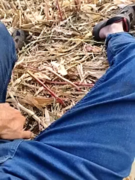 murokkk31 live sex cam