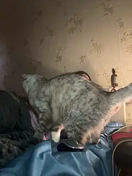 Naughtbaby_2025's cam snapshot