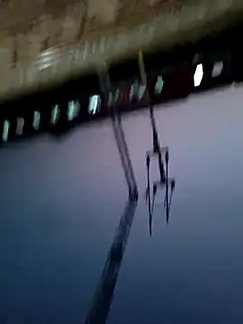 himvilohi08's web cam