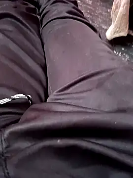 dolphiinn's cam snapshot