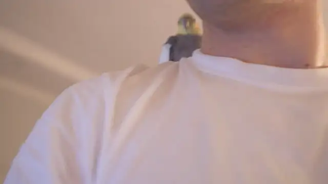 tommyjoyer's cam snapshot